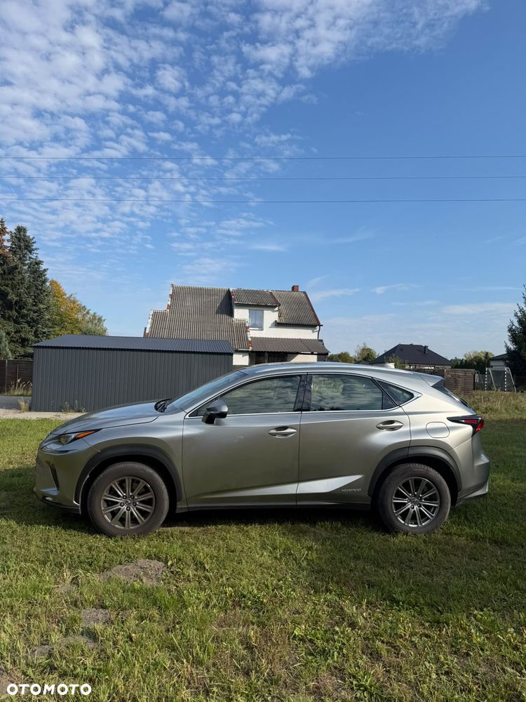 Lexus NX - 7