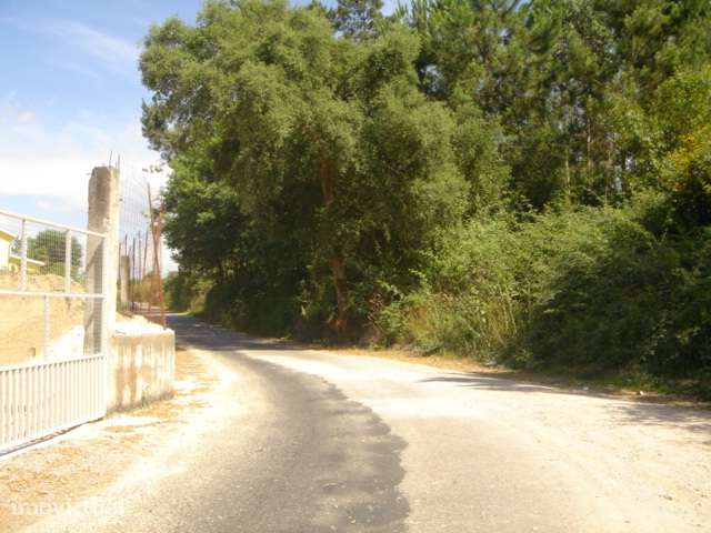 Lote para construção de moradia com 8000m² - Grande imagem: 4/6