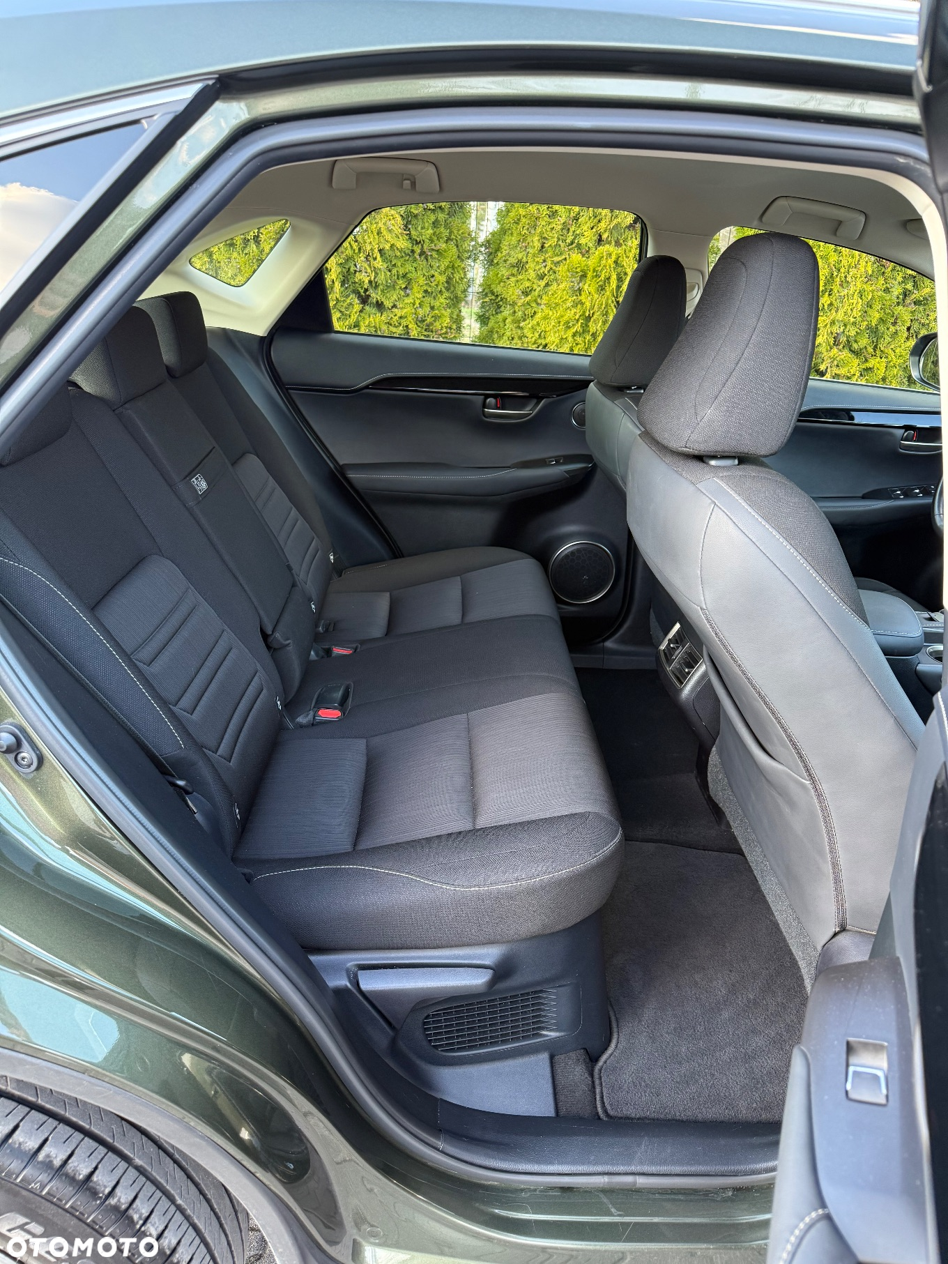 Lexus NX - 38