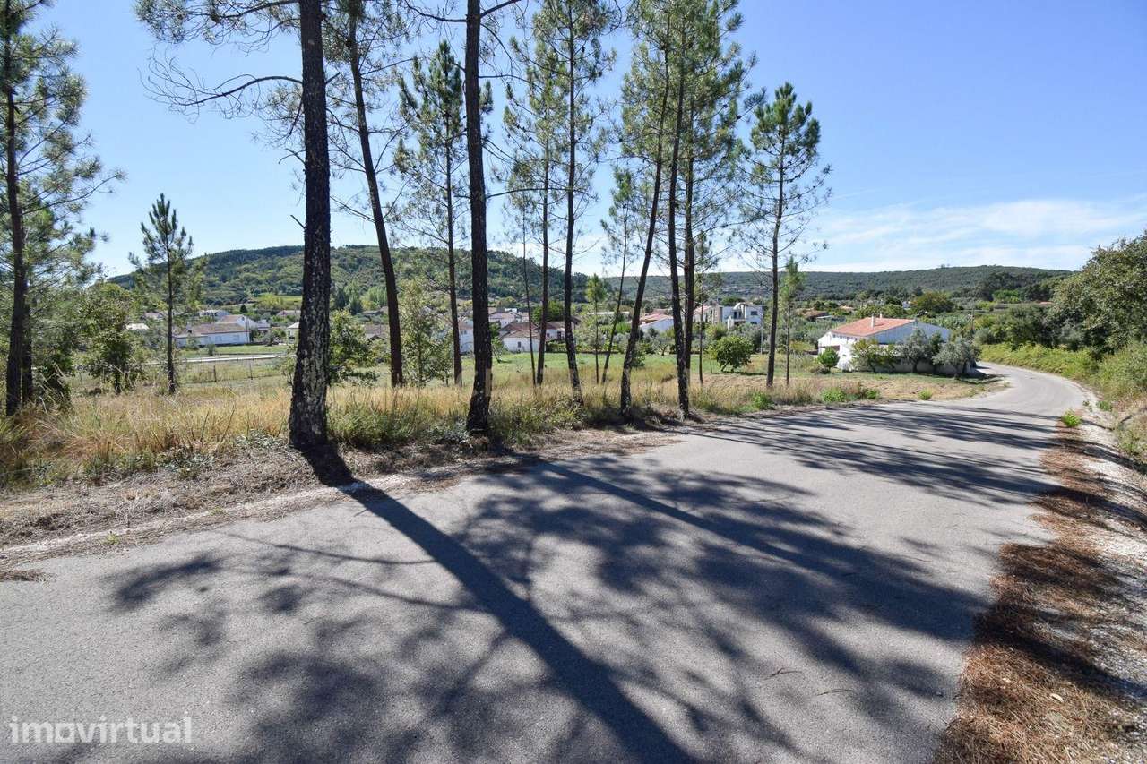 Terreno com 3720 m2 com viabilidade de construção em Chão de Couce, An - Grande imagem: 5/11