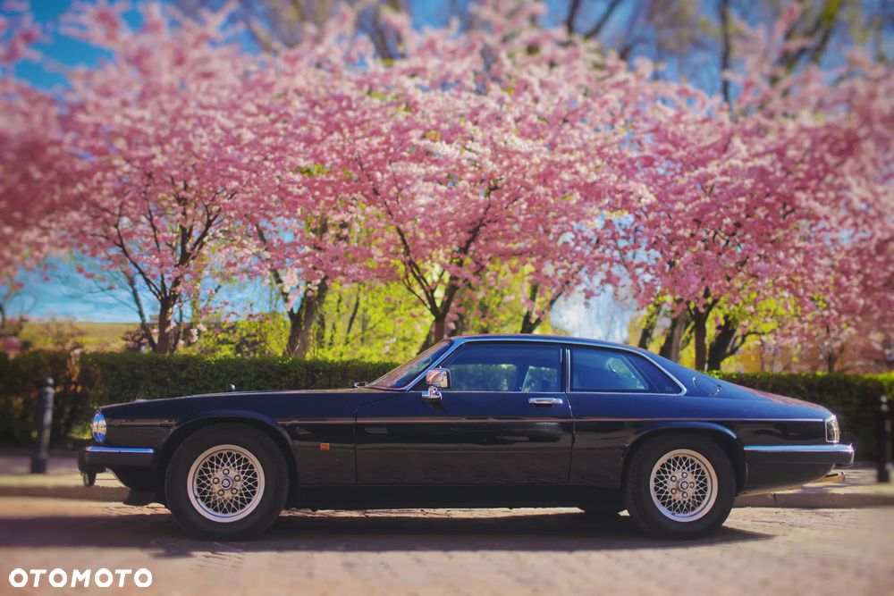 Jaguar XJS 5.3 - 7
