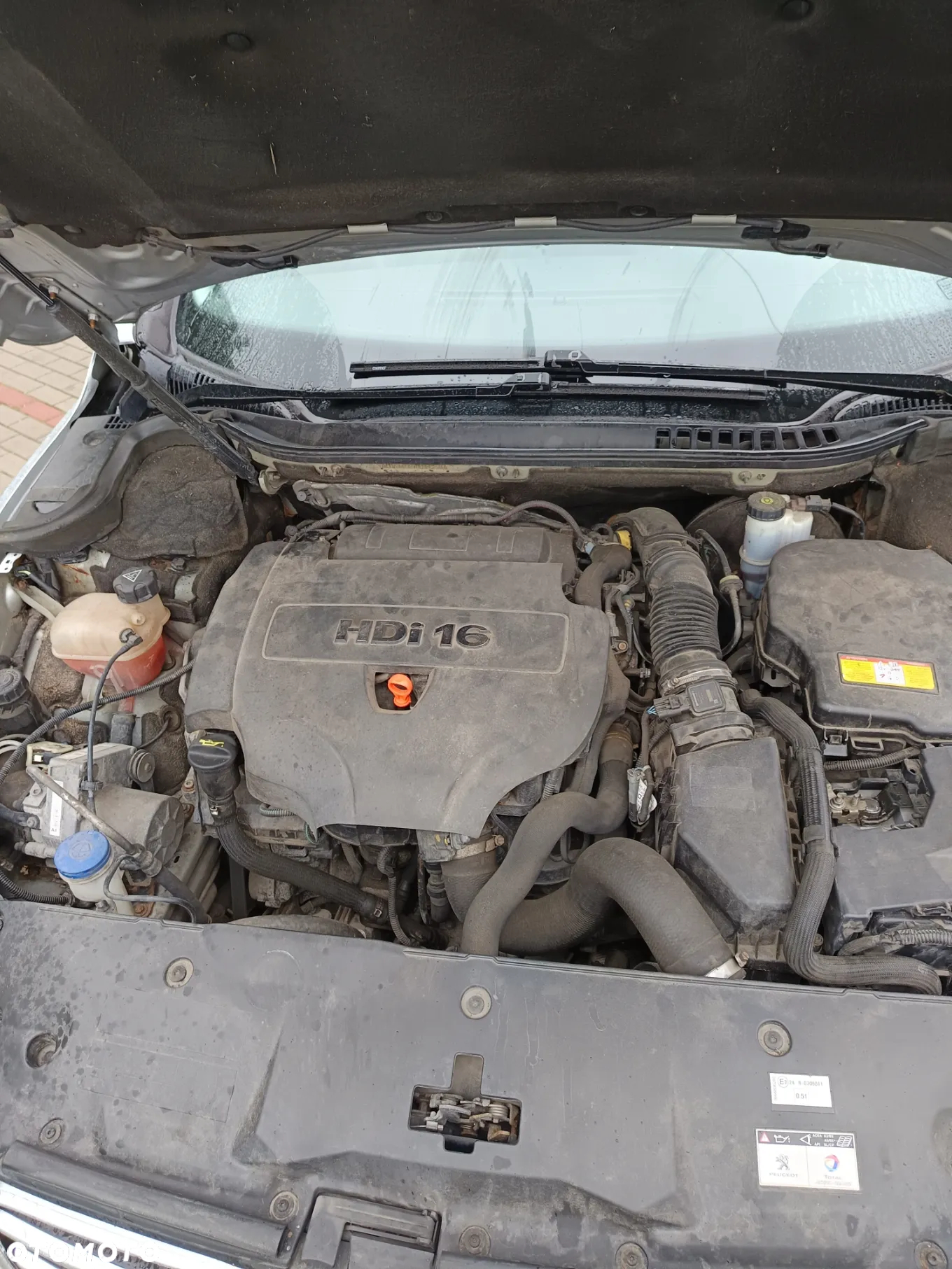 Peugeot 508 SW HDi 160 Automatik Allure - 9