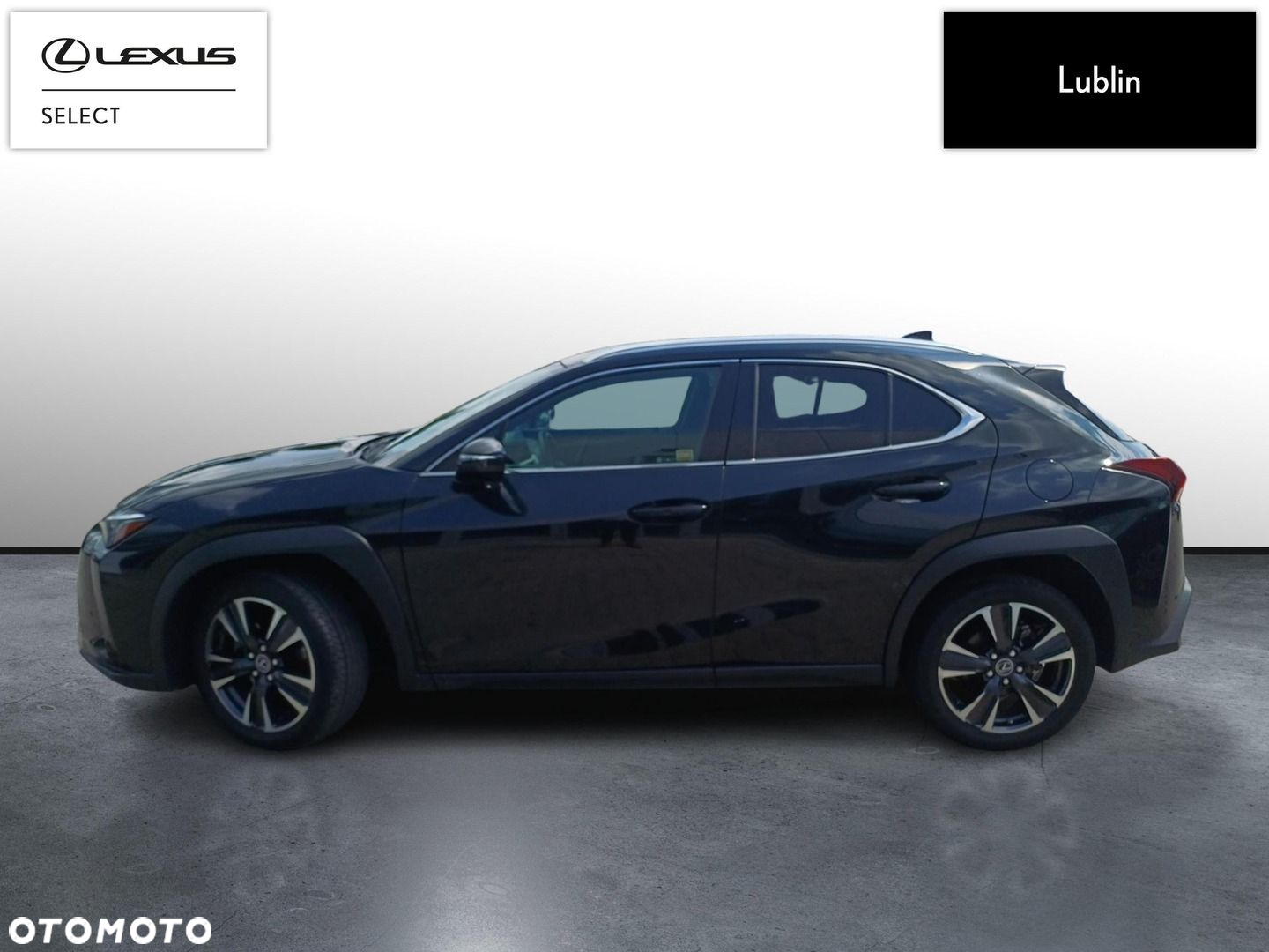 Lexus UX 250h GPF Business 2WD - 2