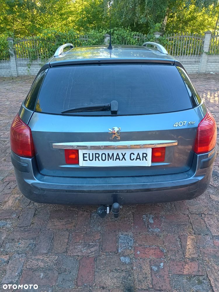 Peugeot 407 - 8