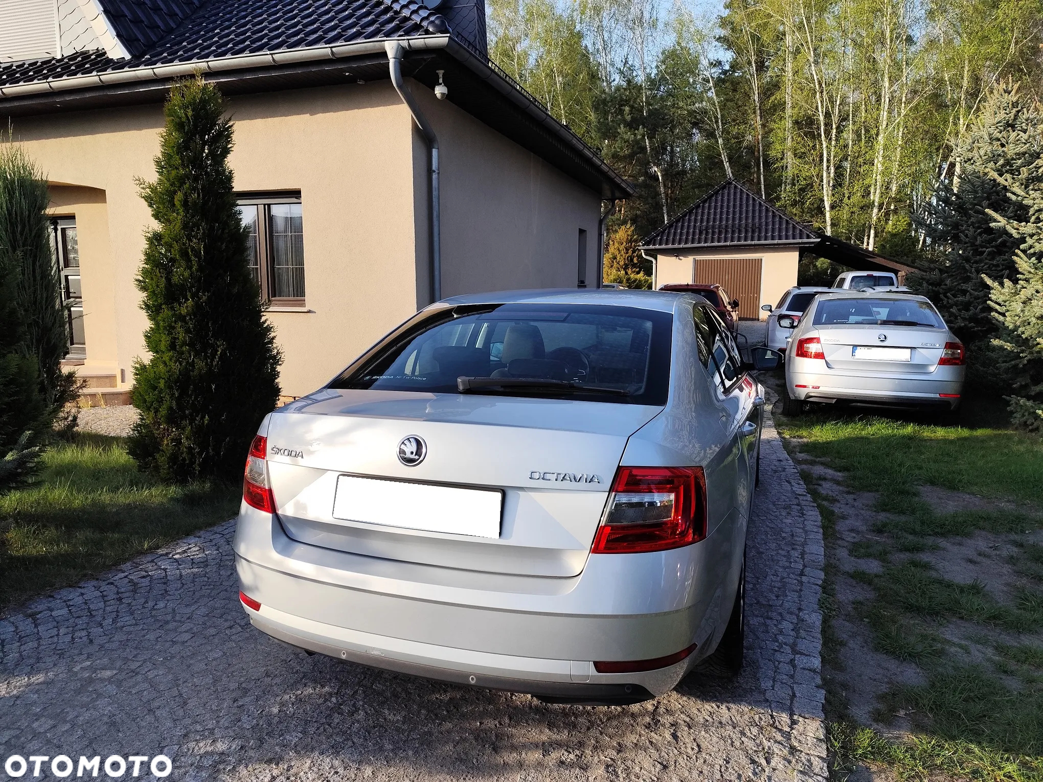 Skoda Octavia - 8