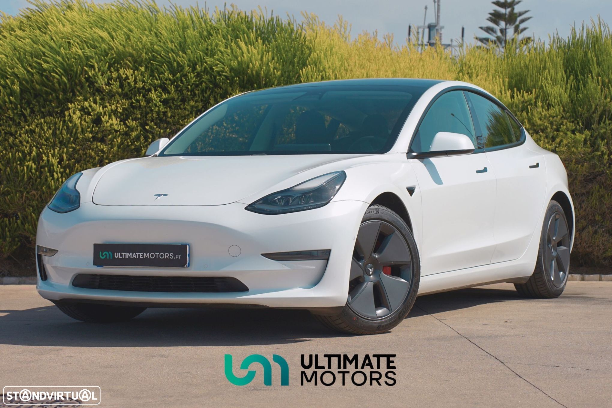 Tesla Model 3 - 1