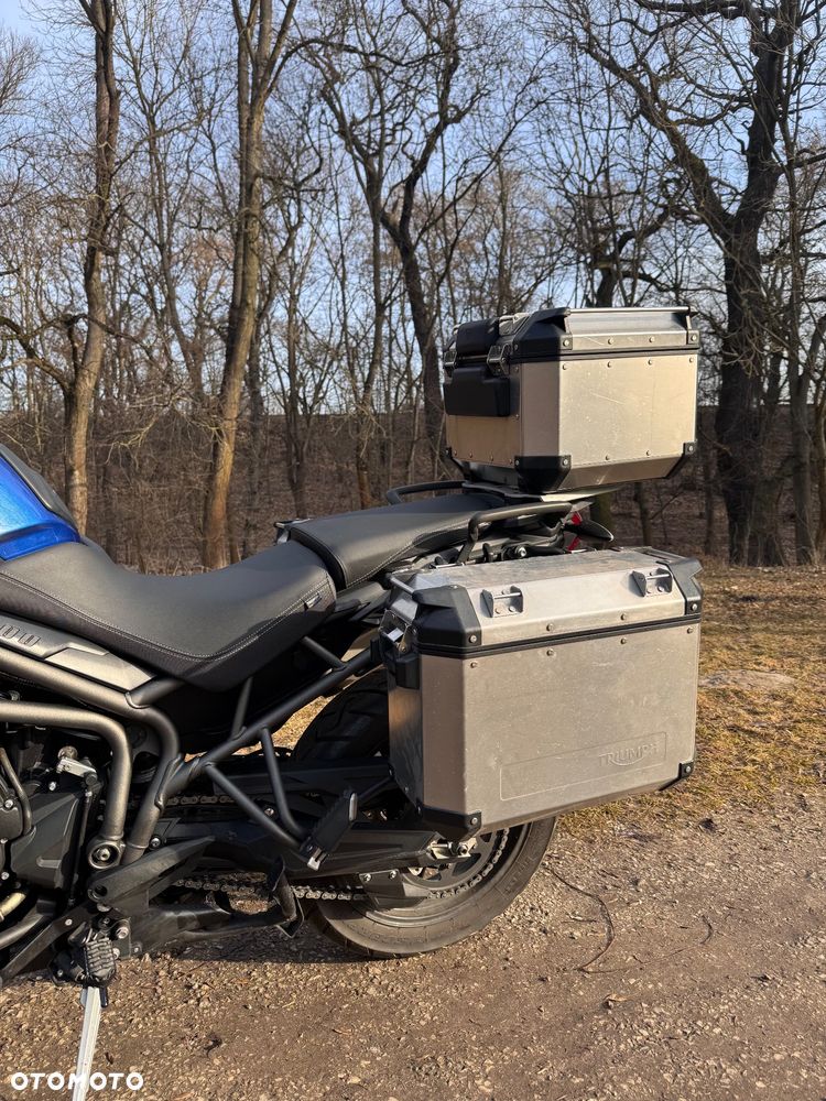 Triumph Tiger - 10