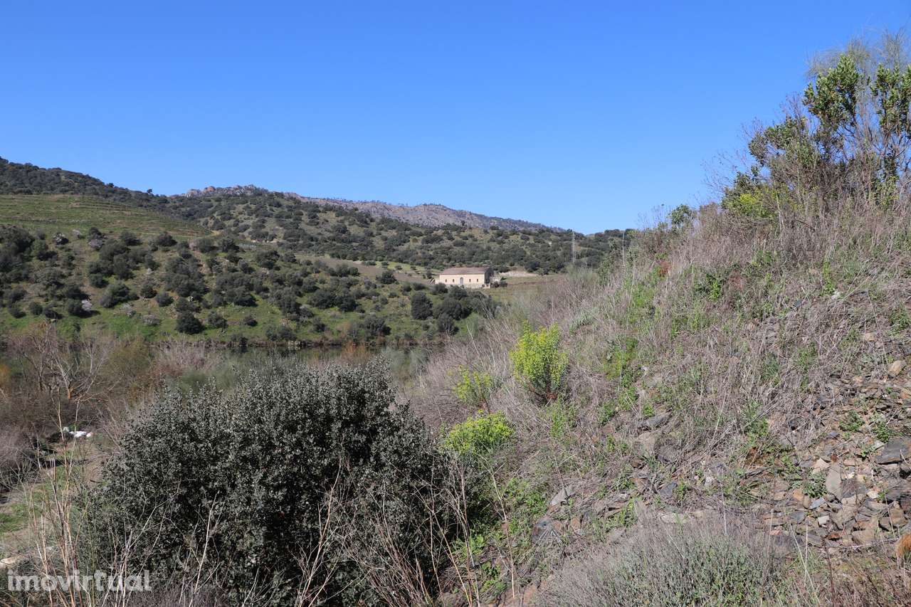 Quinta  Venda em Torre de Moncorvo,Torre de Moncorvo - Grande imagem: 3/34