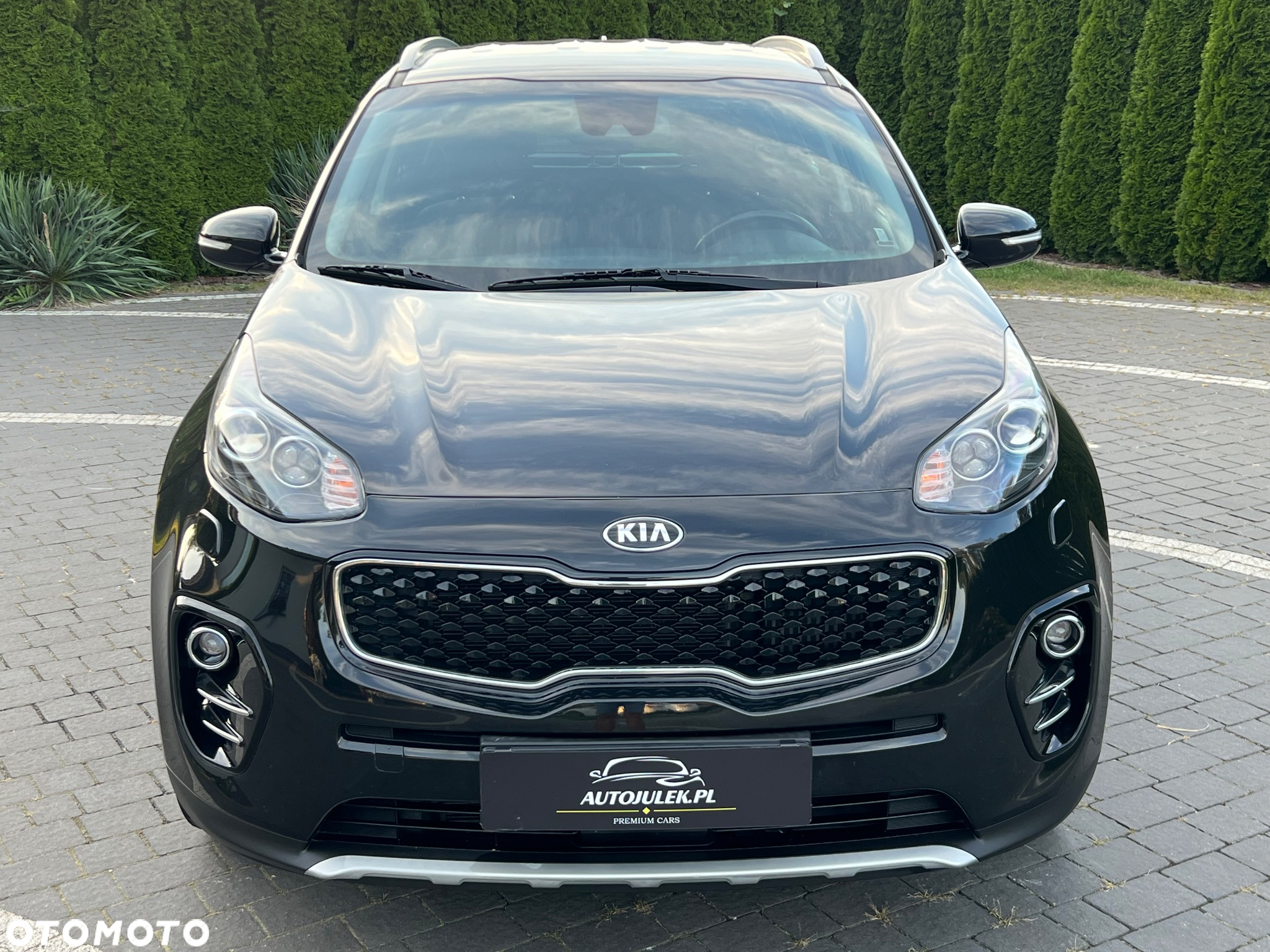 Kia Sportage 1.6 T-GDI L Business Line Plus 2WD - 3
