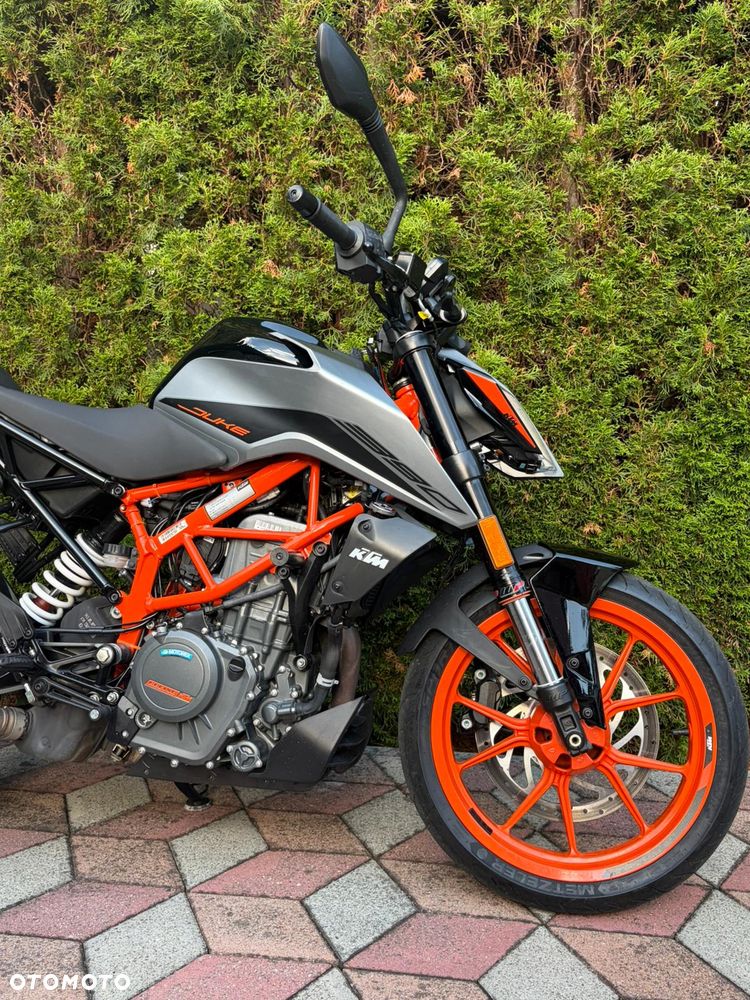 KTM Duke 390 - 1