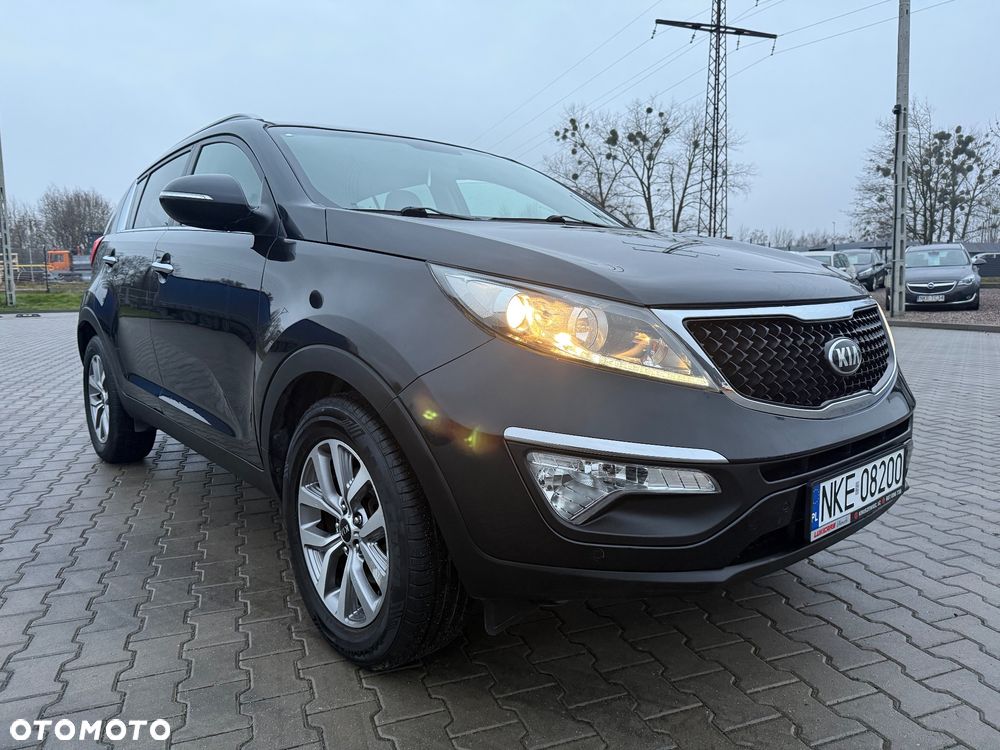 Kia Sportage 1.6 GDI Business Line L 2WD - 18