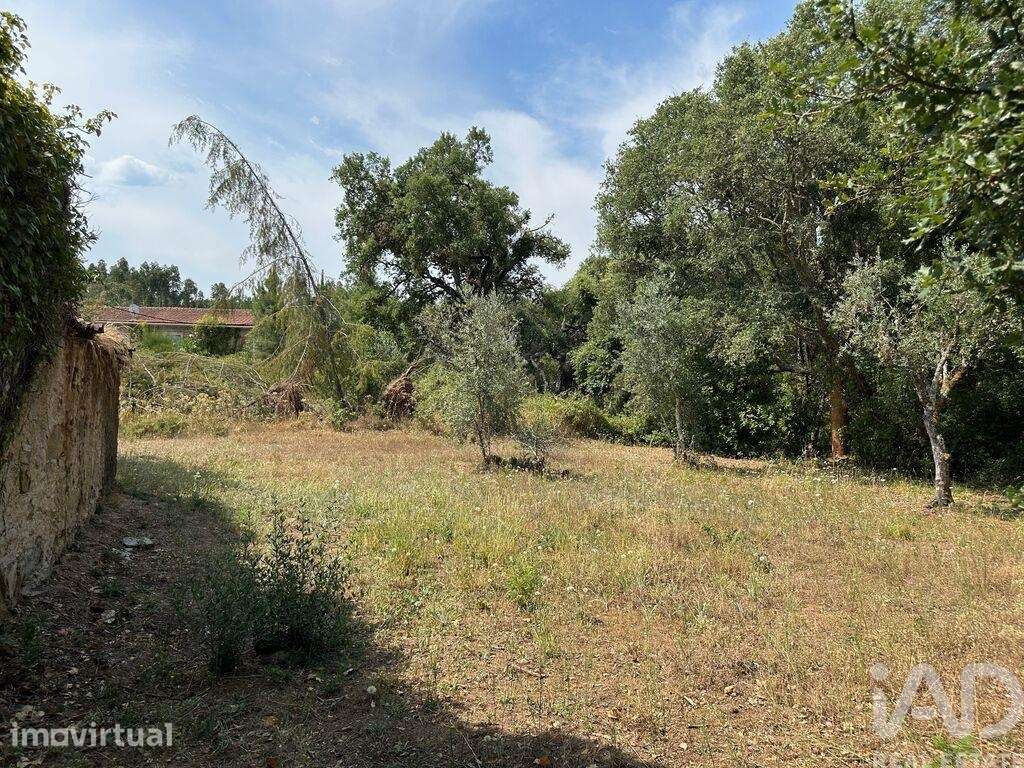 Casa / Villa em Graça de 75 m2 - Grande imagem: 3/17