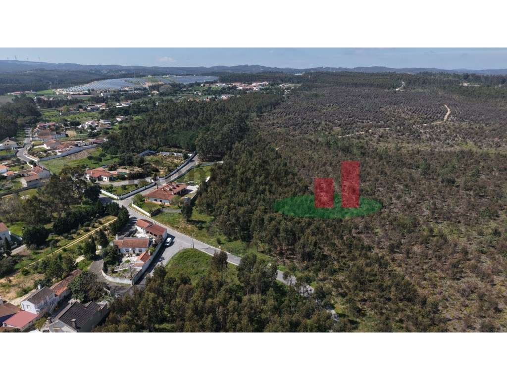 Terreno rústico Asseiceira***RIOMAGIC*** - Grande imagem: 4/20