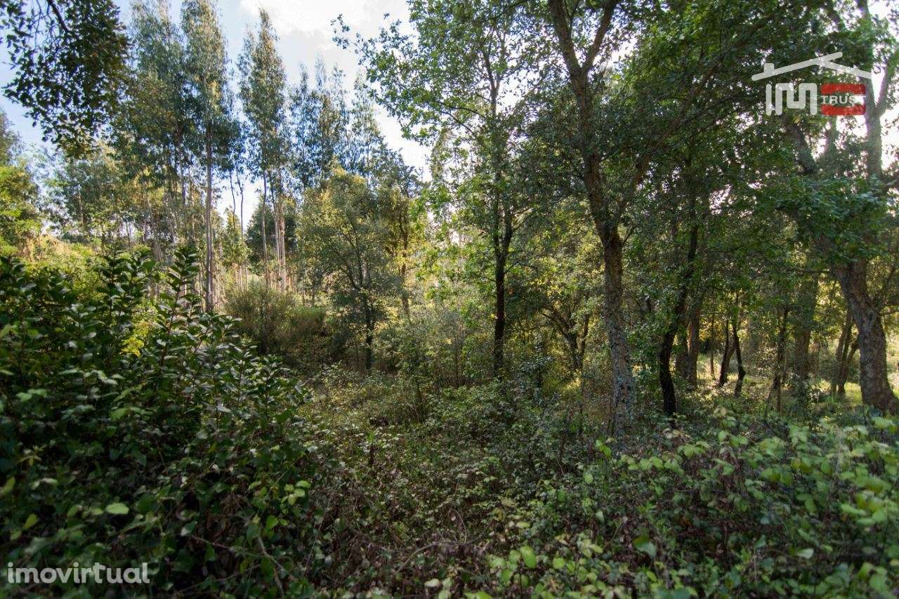 Terreno para construção, de moradia. - Grande imagem: 4/5