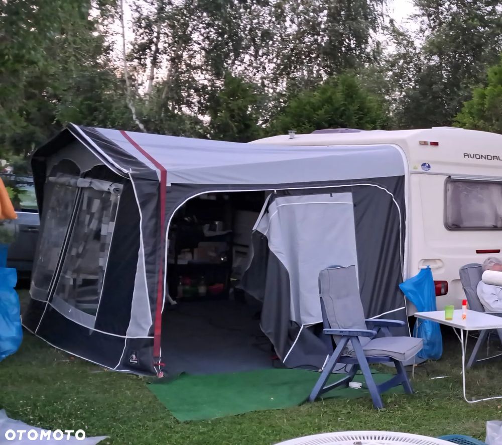 Avondale Avocet Golden - 21