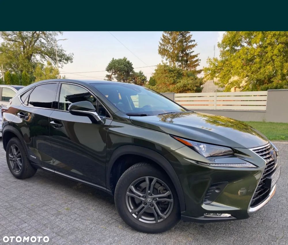 Lexus NX - 11