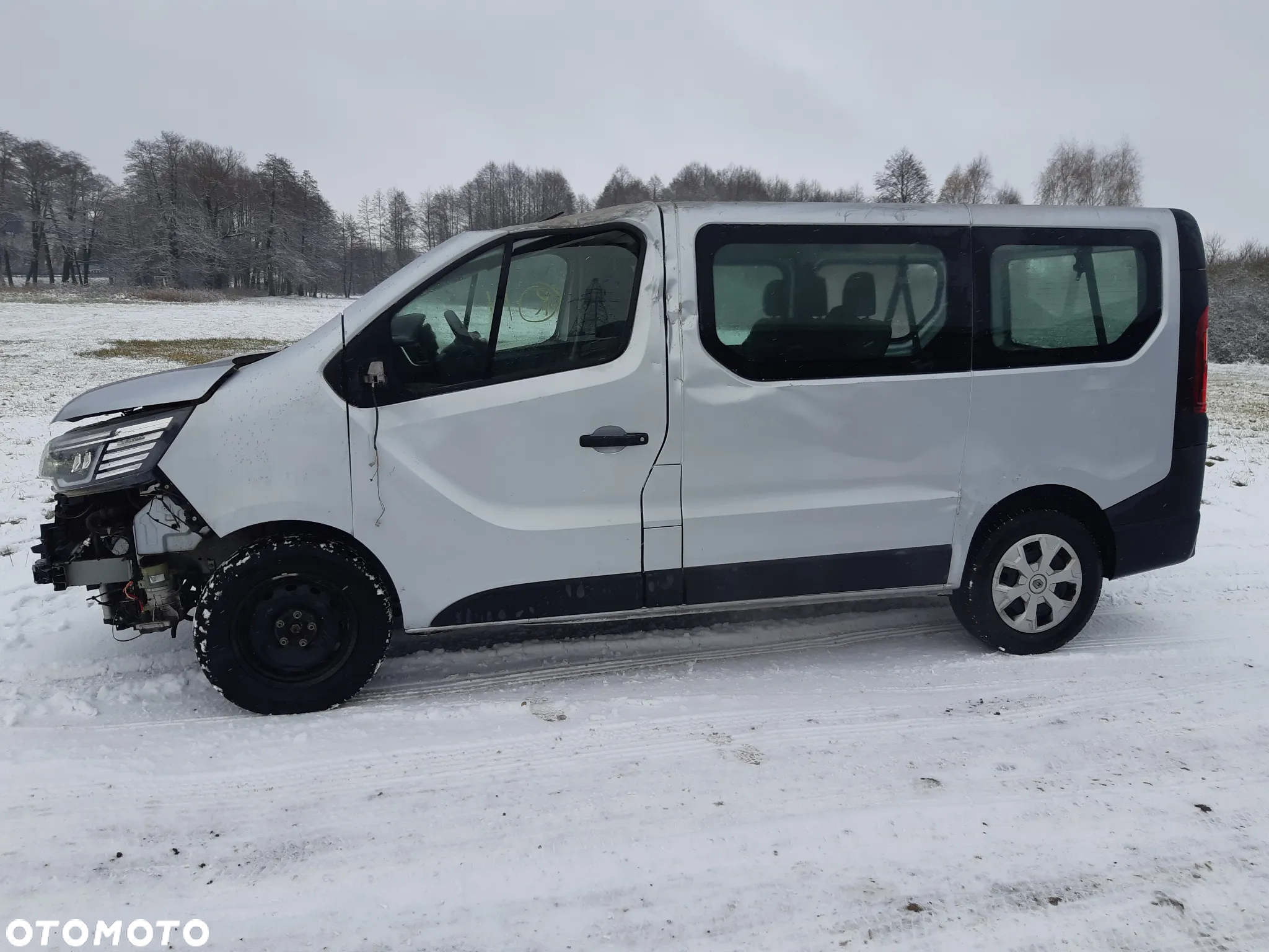 Renault Trafic - 10