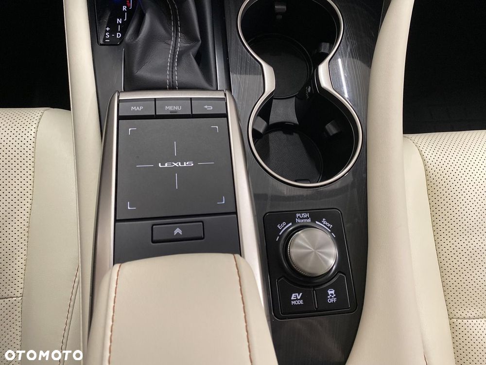 Lexus RX 450h F-Impression - 20