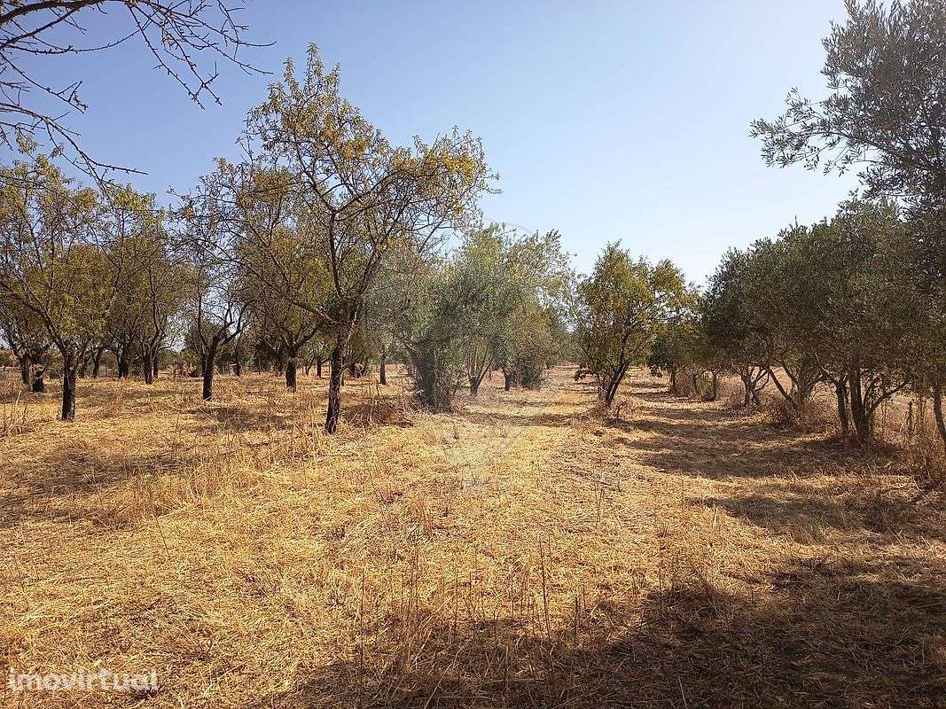 Terreno  para venda - Grande imagem: 3/6