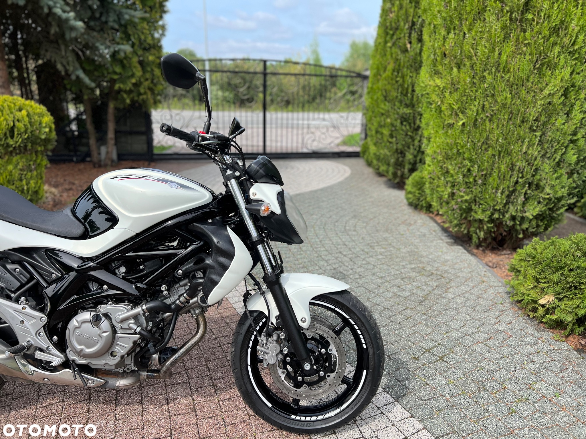 Suzuki Gladius - 6