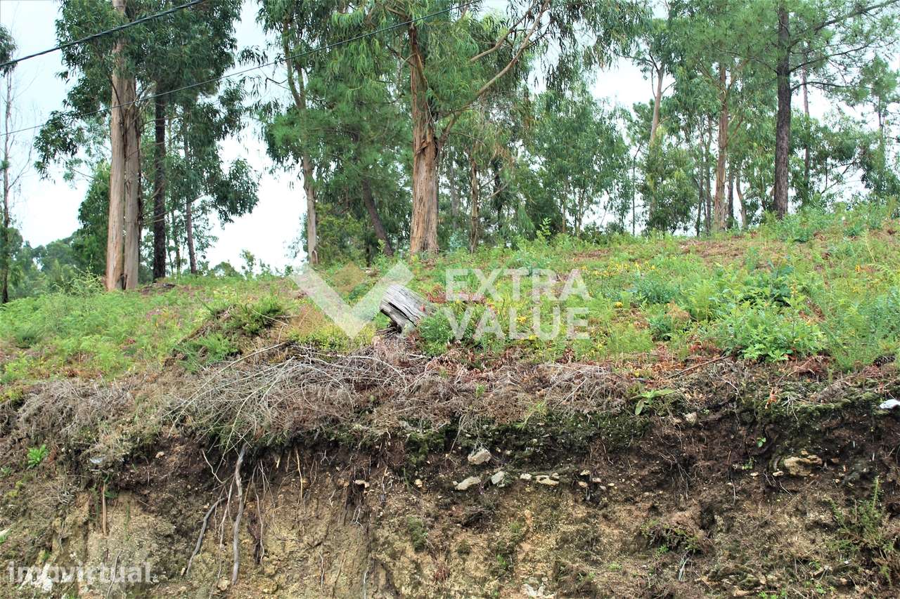 Terreno Para Construção  Venda em Ardegão, Freixo e Mato,Ponte de Lima - Grande imagem: 2/19