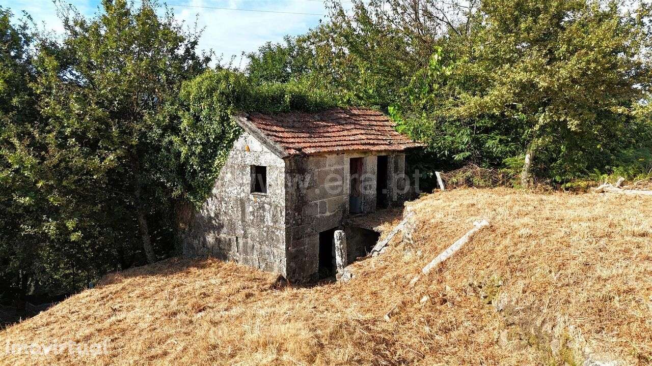 Terreno com ruina / Baião, Campelo e Ovil - Grande imagem: 3/10