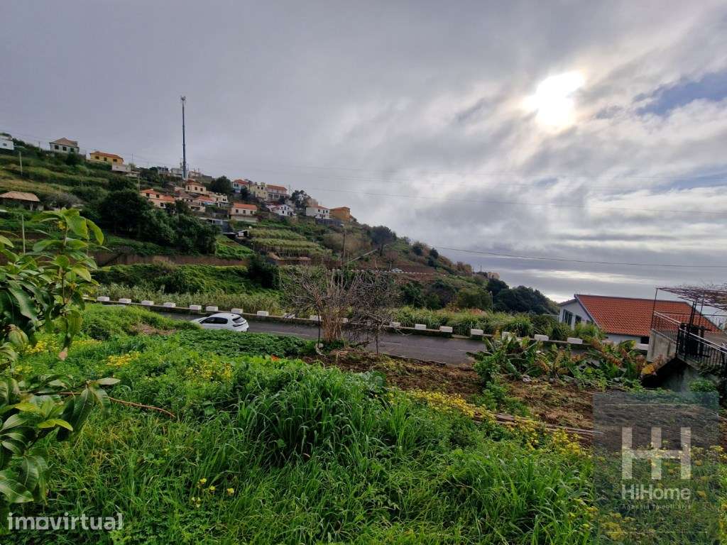 Terreno Rústico no Sítio da Pedra Mole, Ribeira Brava (Madeira) - Grande imagem: 5/16