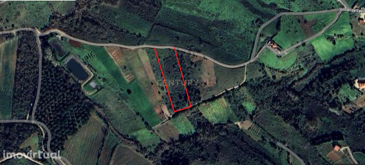 Terreno Rústico em Alenquer com Vista - Grande imagem: 2/4