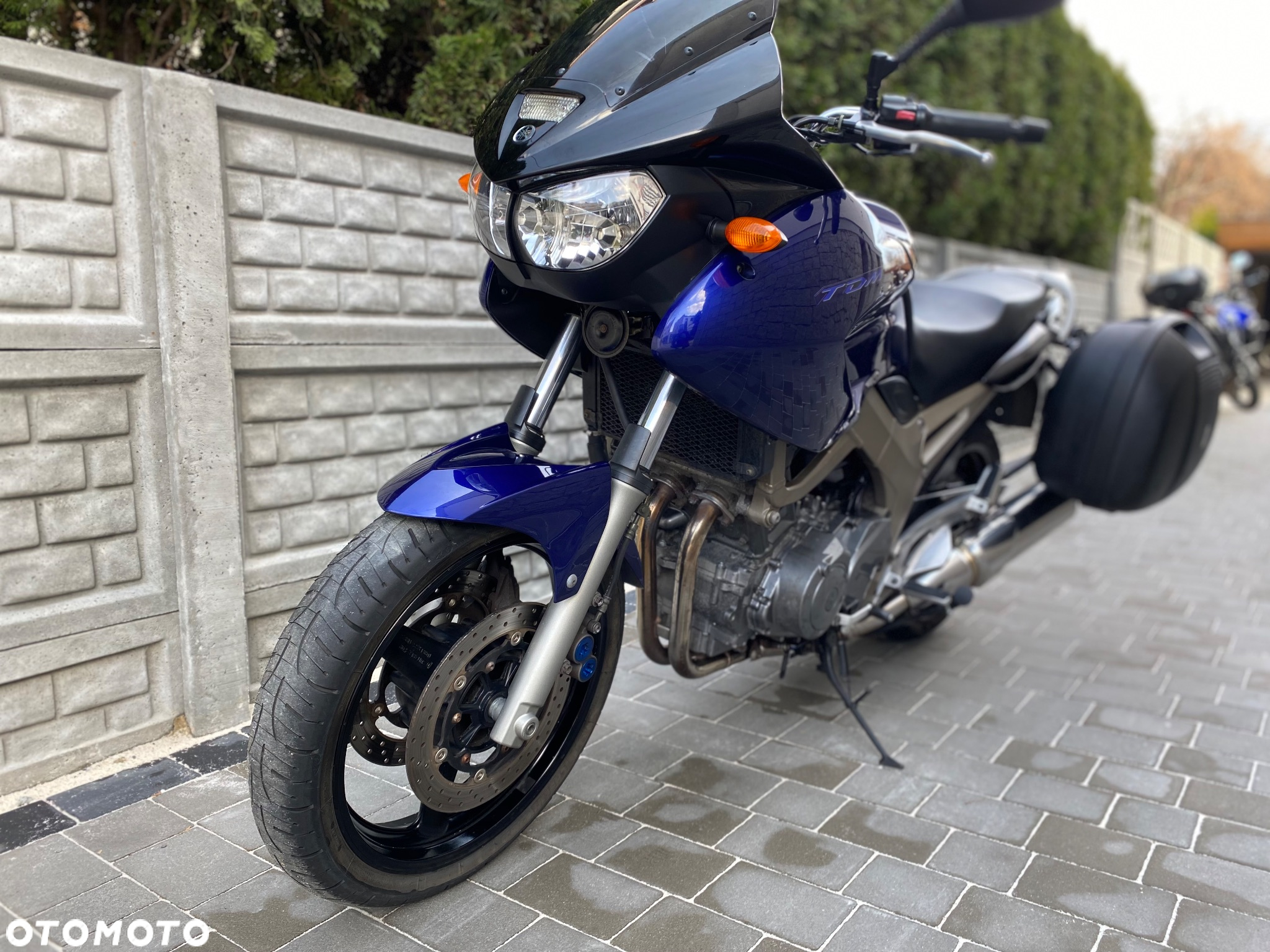 Yamaha TDM - 19