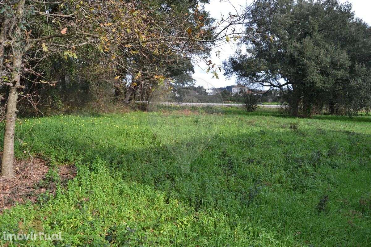 Terreno  para venda - Grande imagem: 2/7