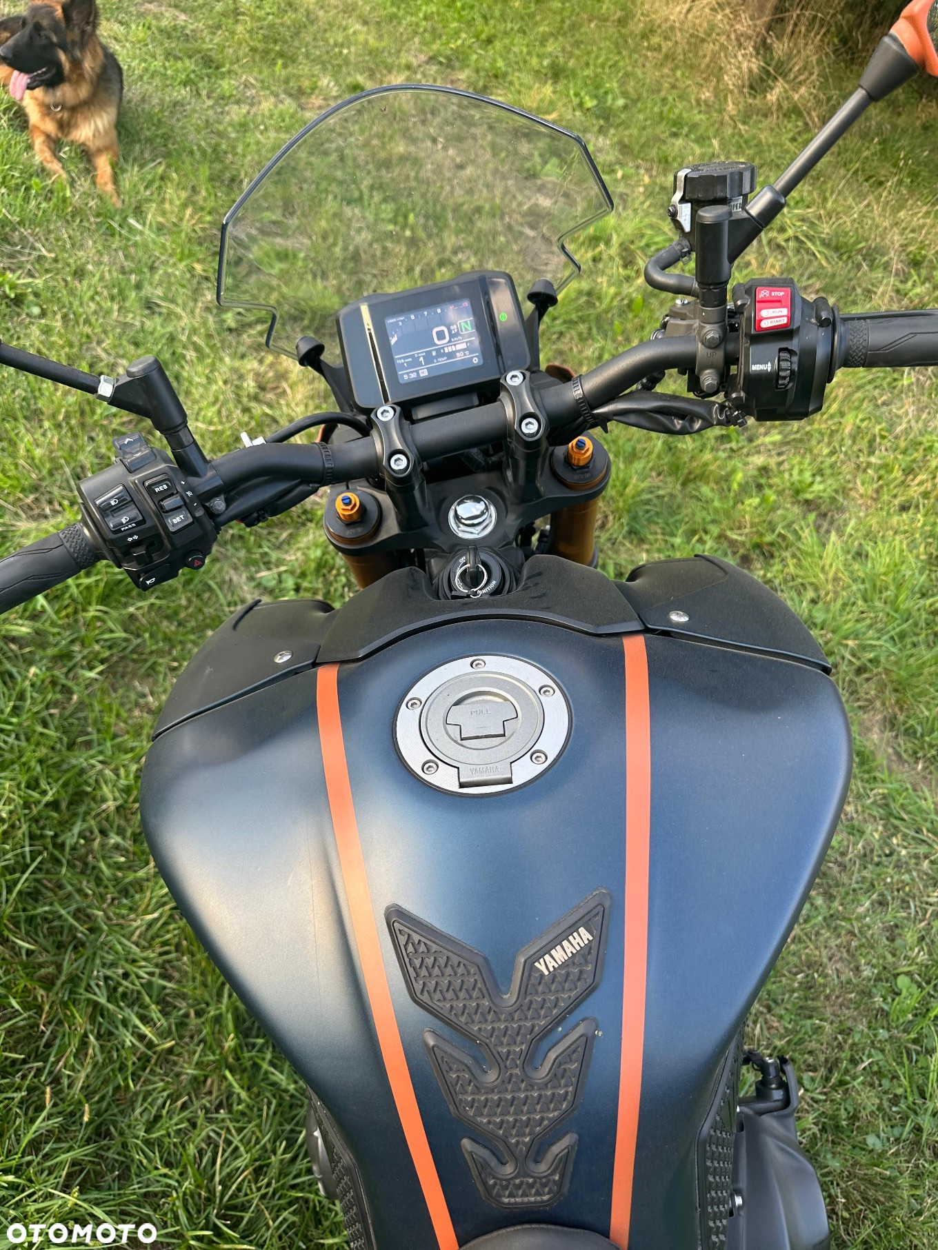 Yamaha MT - 9