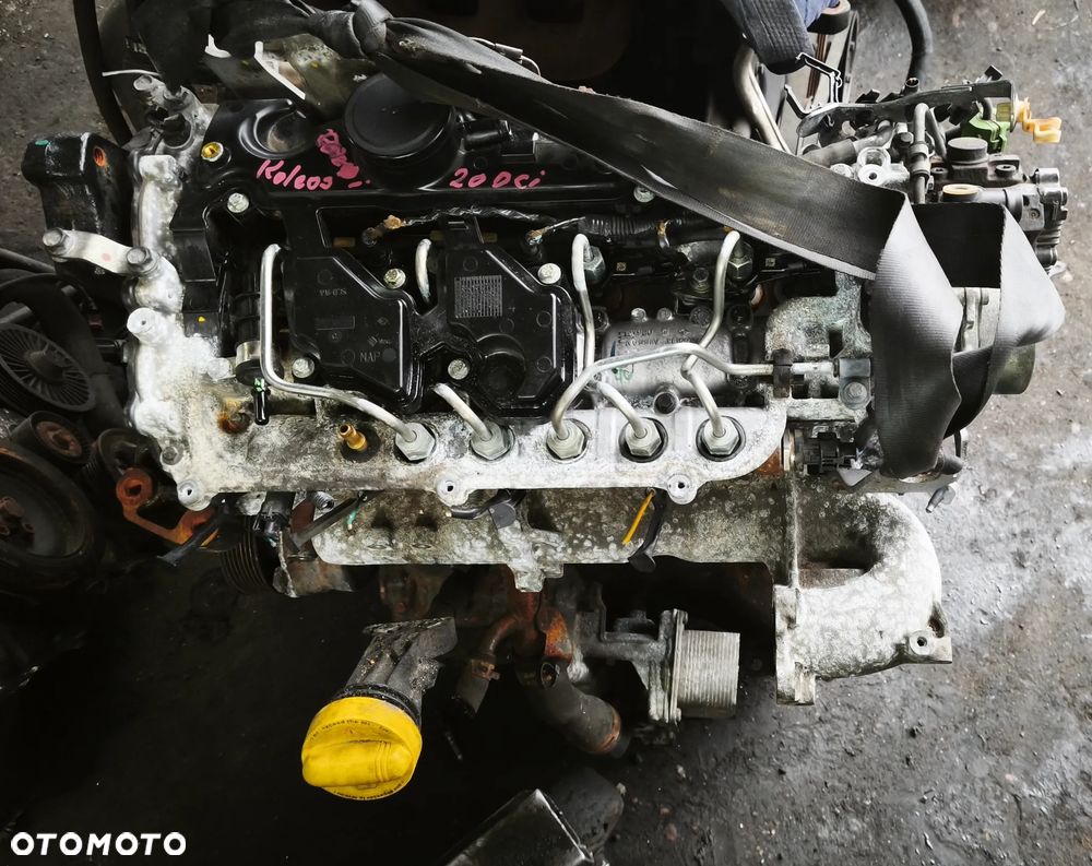 RENAULT KOLEOS 07r 2.0 DCI SILNIK M9RZ856 M9R856 goły - 1