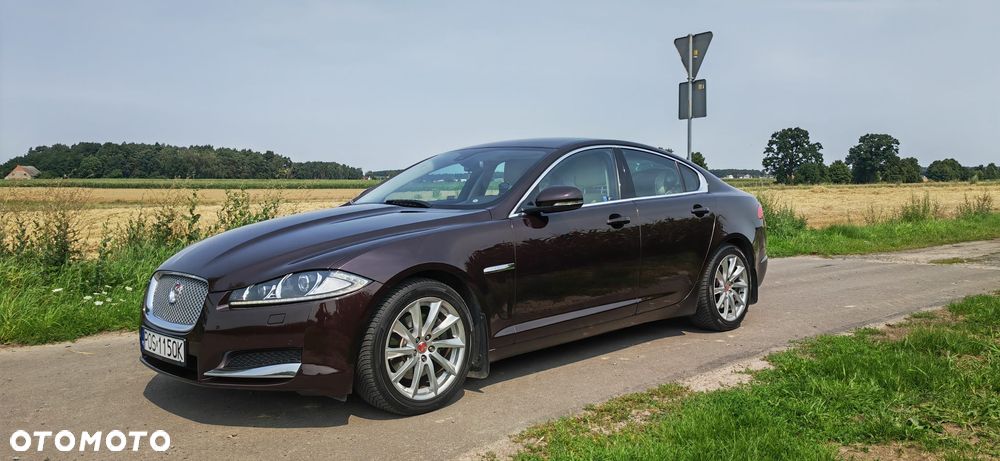 Jaguar XF 2.2 D Premium Luxury - 5