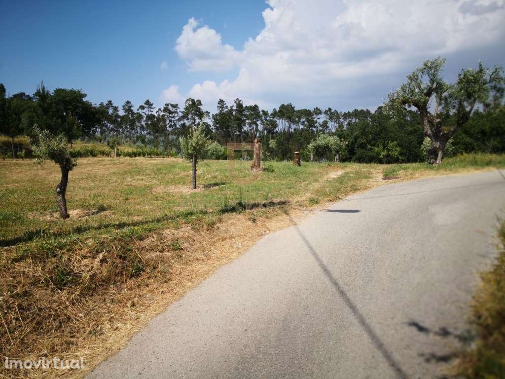 Espectacular terreno para construção - Ourem - Grande imagem: 3/8
