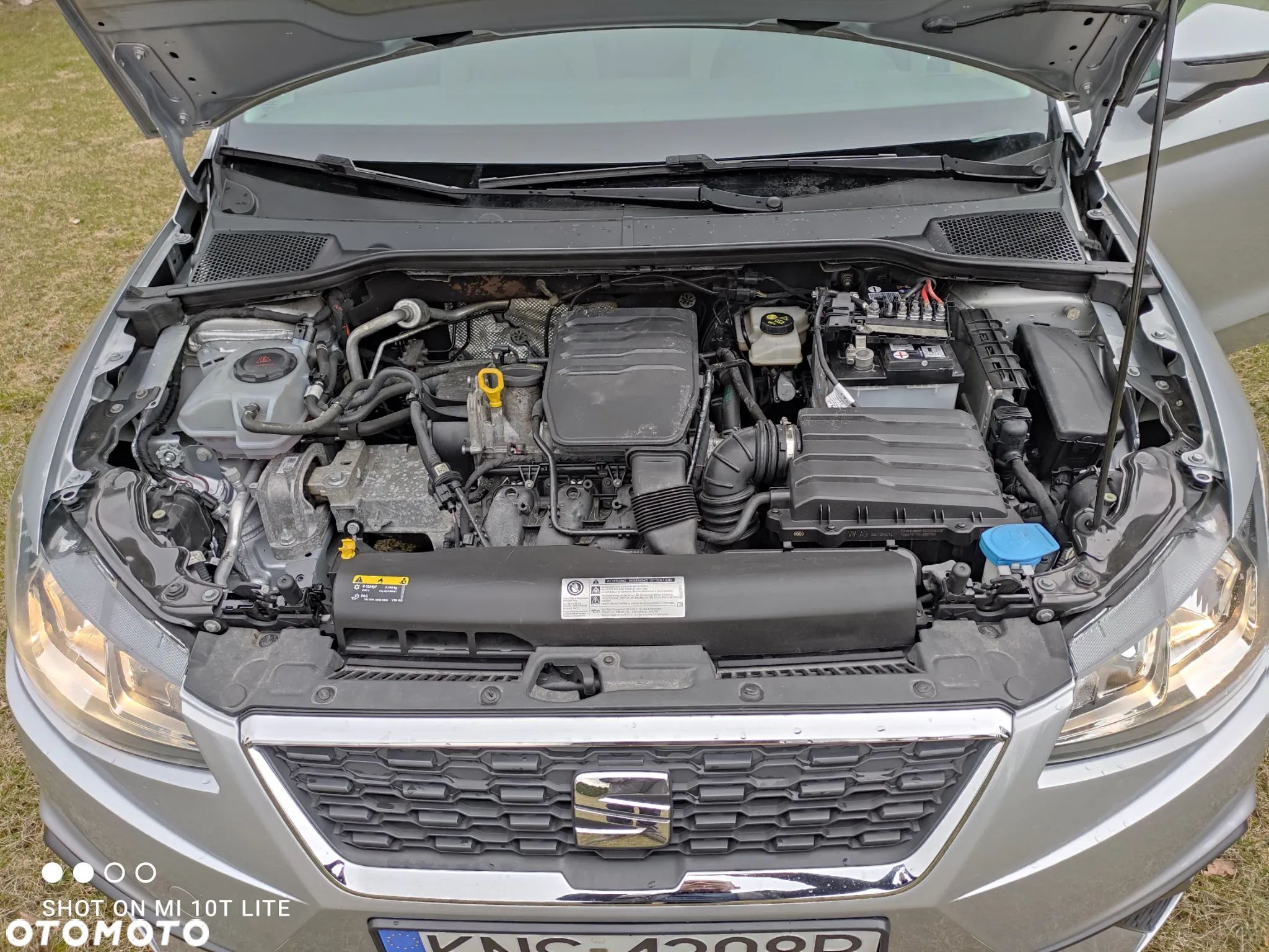 Seat Ibiza - 17
