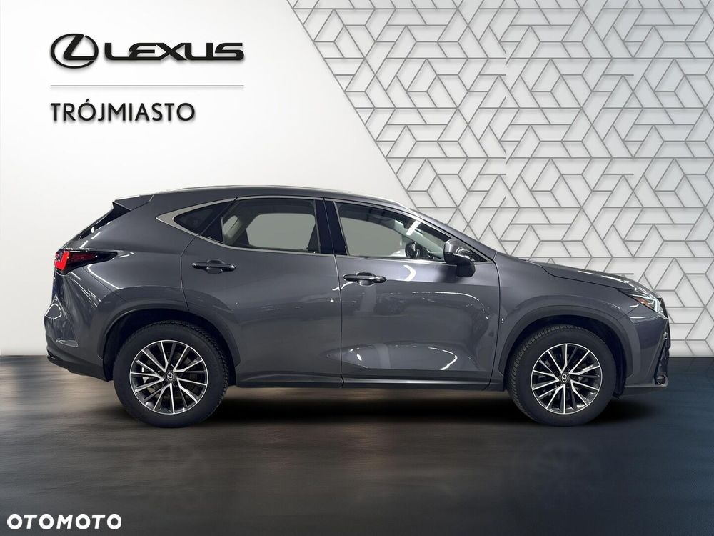 Lexus NX 350h Business AWD - 7