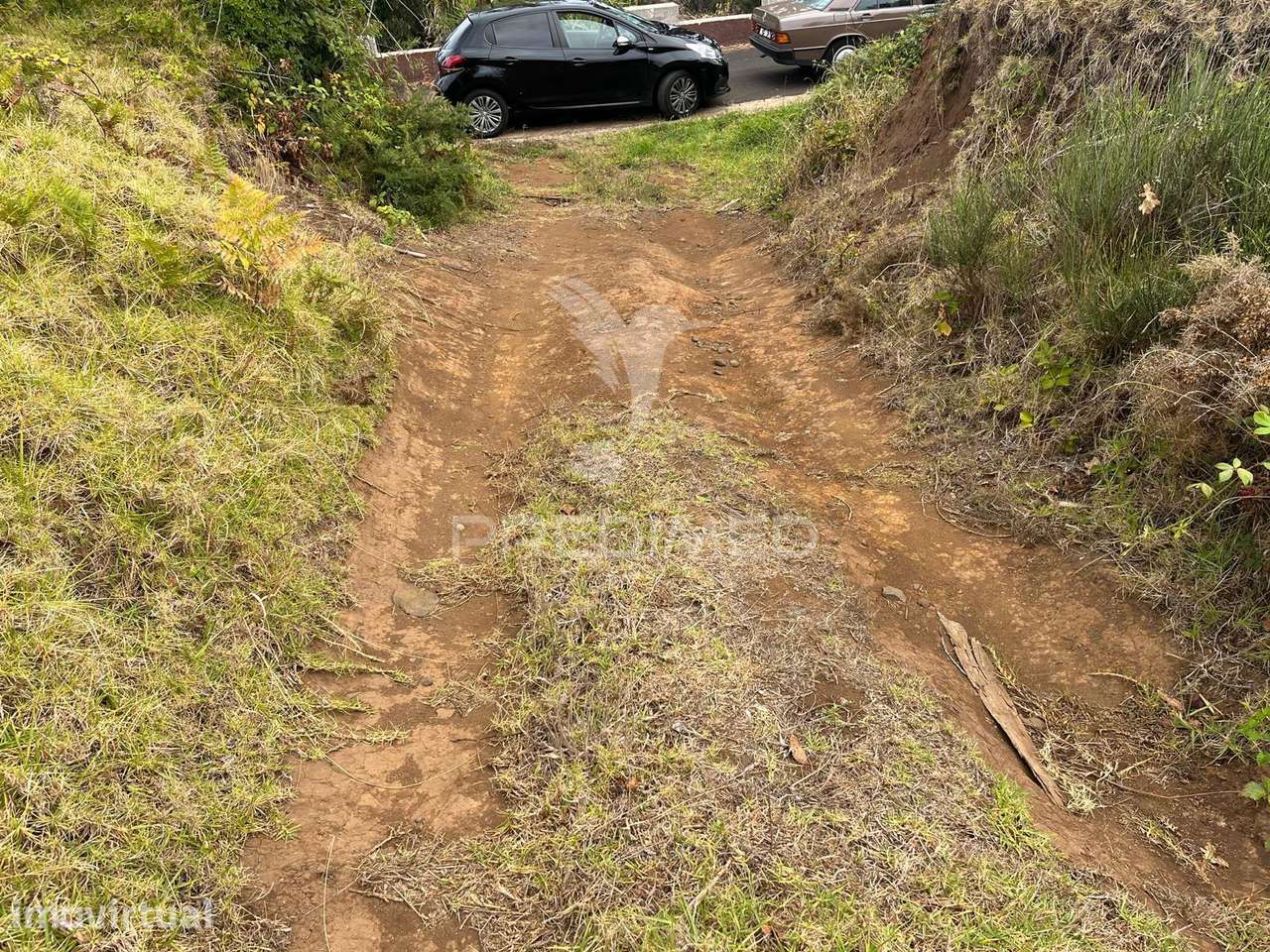 TERRENO COM 3.000M2 VISTA MAR NO SITIO DO CABO-PONTA DO PARGO-CALHETA - Grande imagem: 5/6