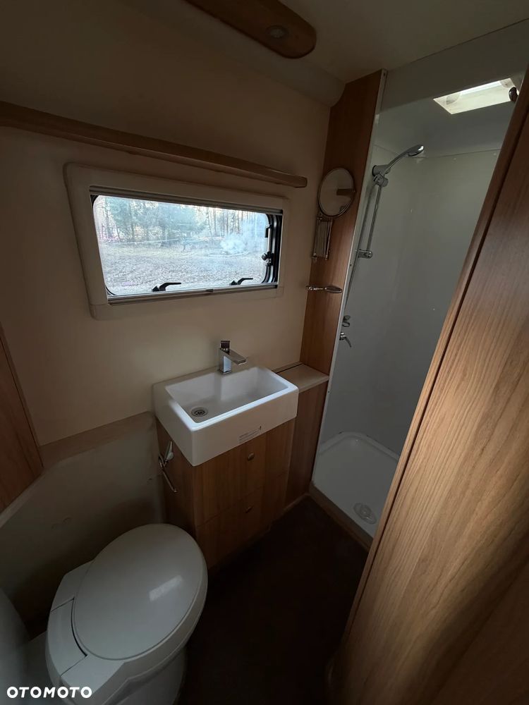 Bailey Unicorn Valencia - 12