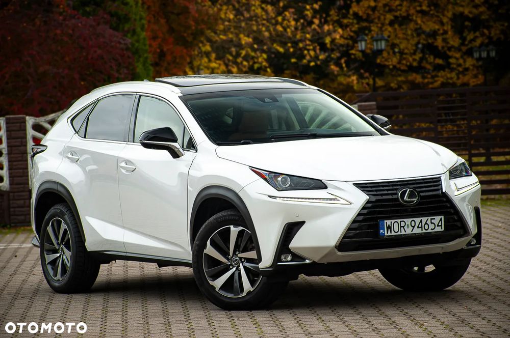 Lexus NX 300 AWD Executive Line - 10