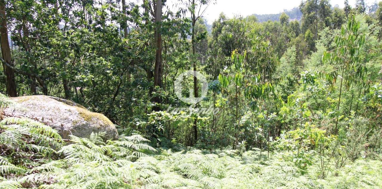 Terreno rústico com 1500m2 em S. Cosme, Famalicão - Grande imagem: 3/5