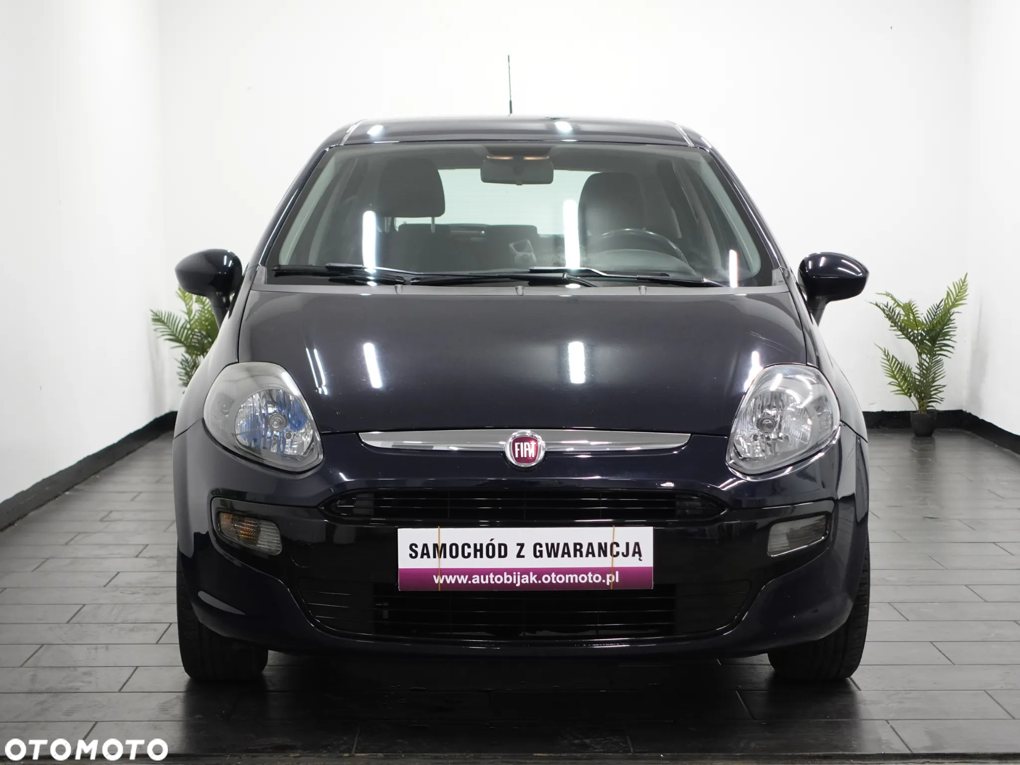 Fiat Punto Evo 1.4 8V Mylife - 12