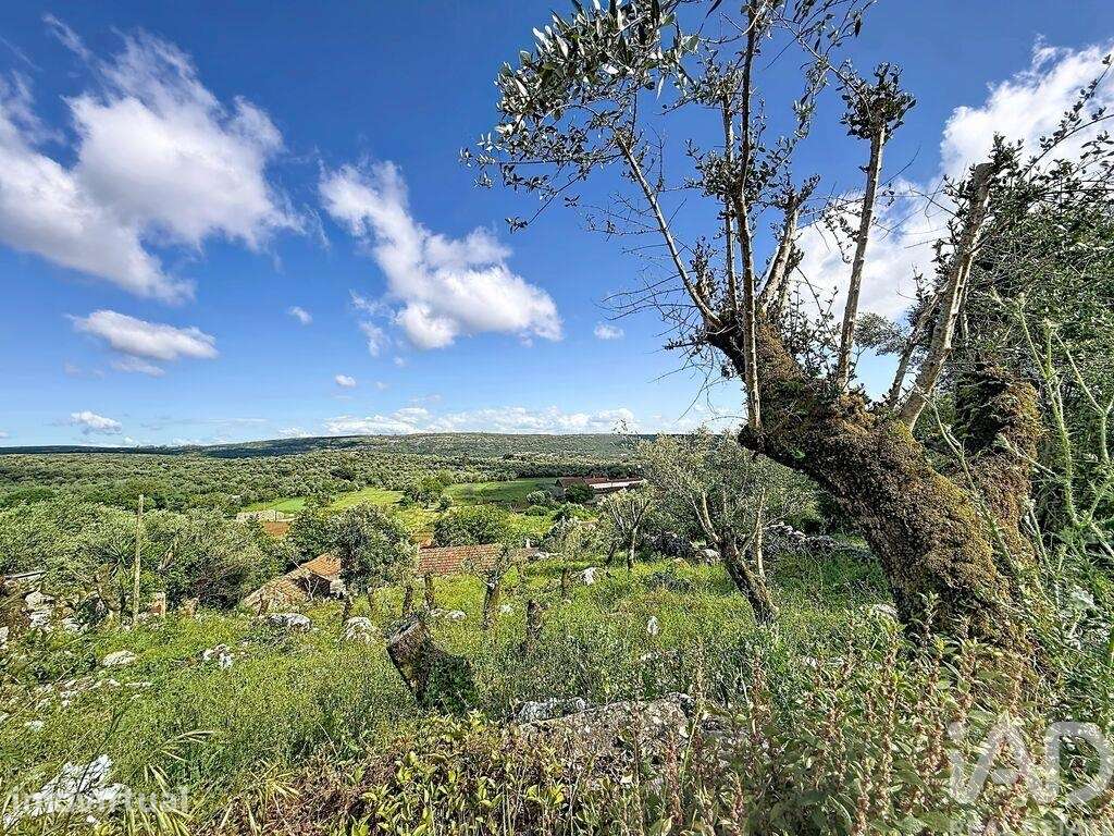 Terreno em Arrimal e Mendiga - Grande imagem: 5/20