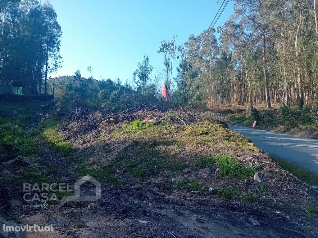 Oportunidade Exclusiva: Terreno Premium com 90m de Frente de Estrad... - Grande imagem: 3/5