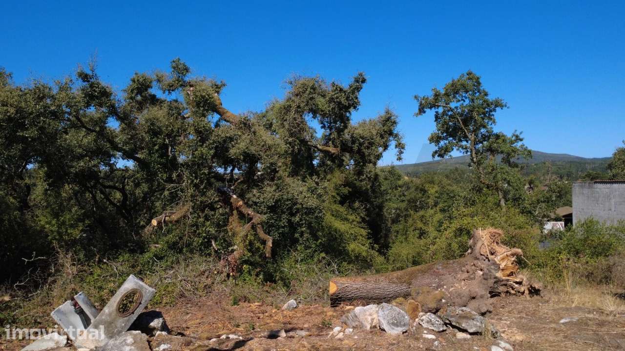 Terreno para Construção em Santiago da Guarda – Ansião - Grande imagem: 3/10