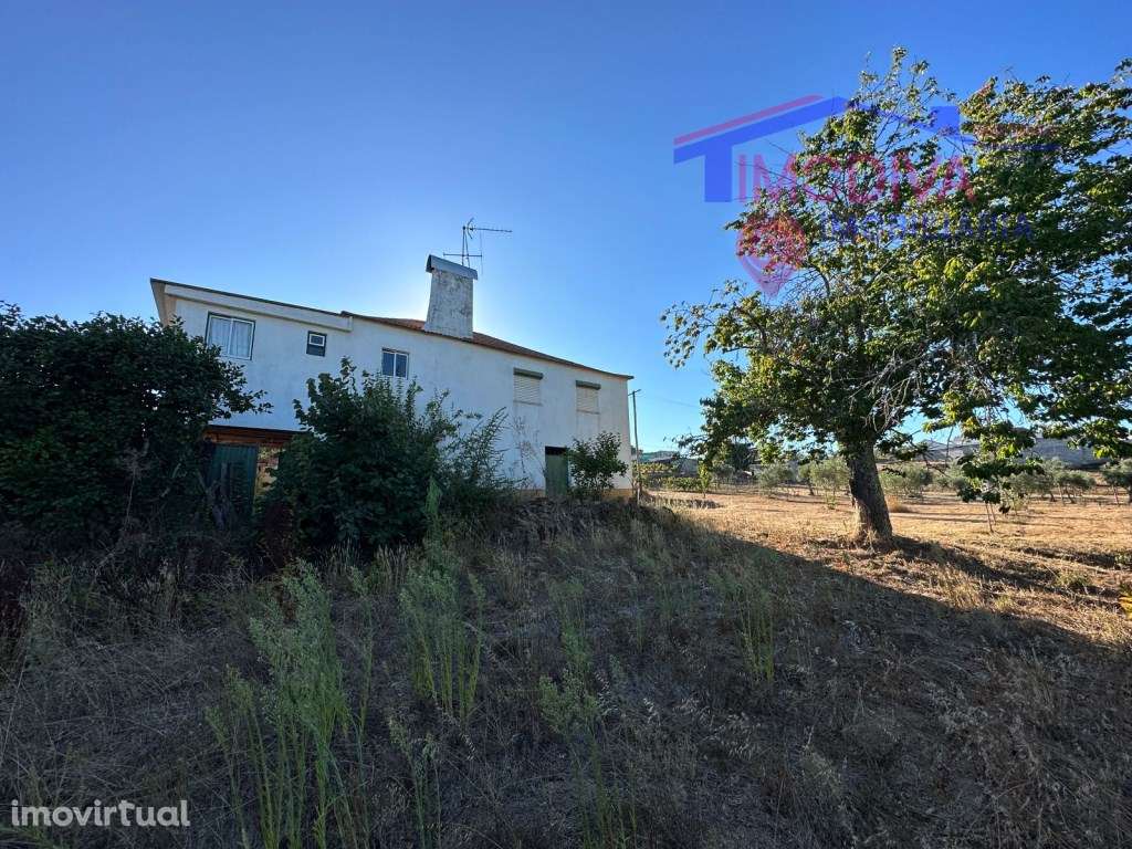 Moradia de Campo T3 com terreno - Grande imagem: 3/38