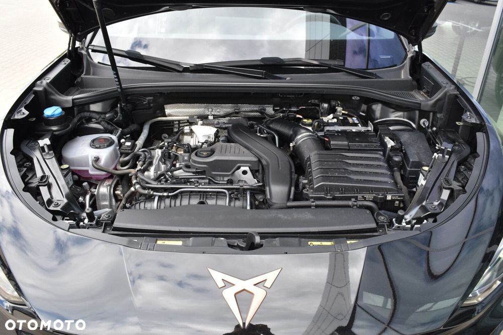 Cupra Terramar 1.5 eTSI mHEV DSG - 28