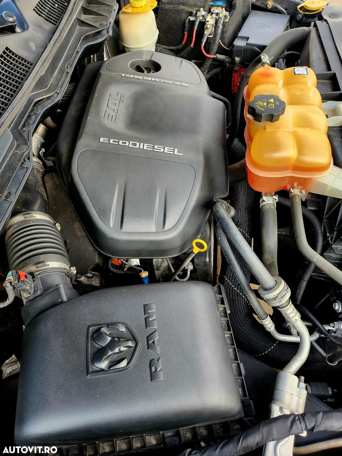 Dodge RAM - 30