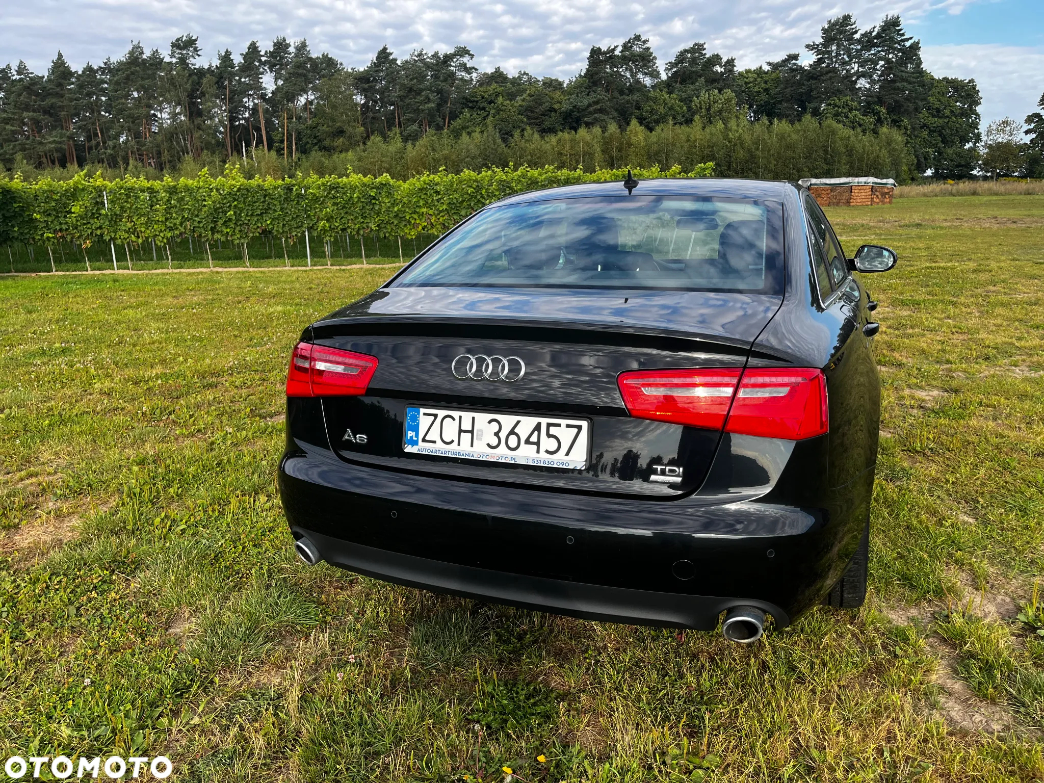 Audi A6 - 2
