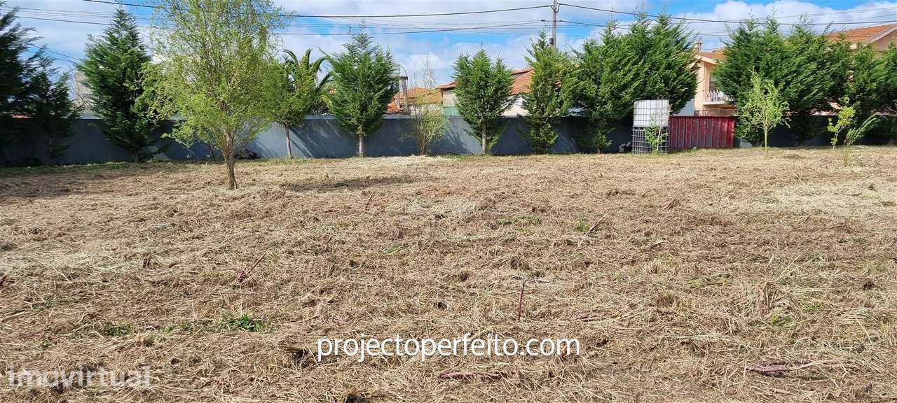 Terreno Para Construção  Venda em Esmoriz,Ovar - Grande imagem: 4/19