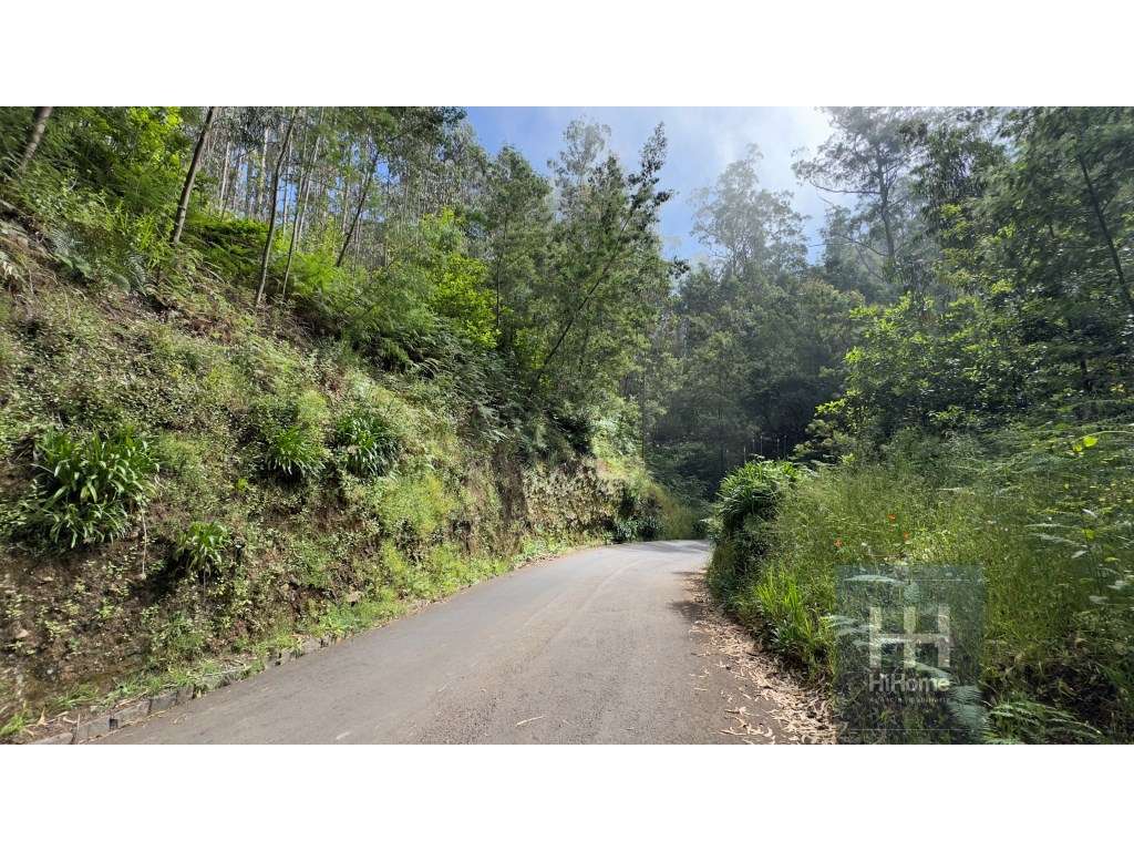 Terreno rústico no Caminho dos Pretos | Funchal - Grande imagem: 2/22
